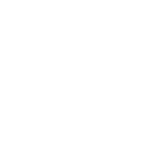 Logo API-D